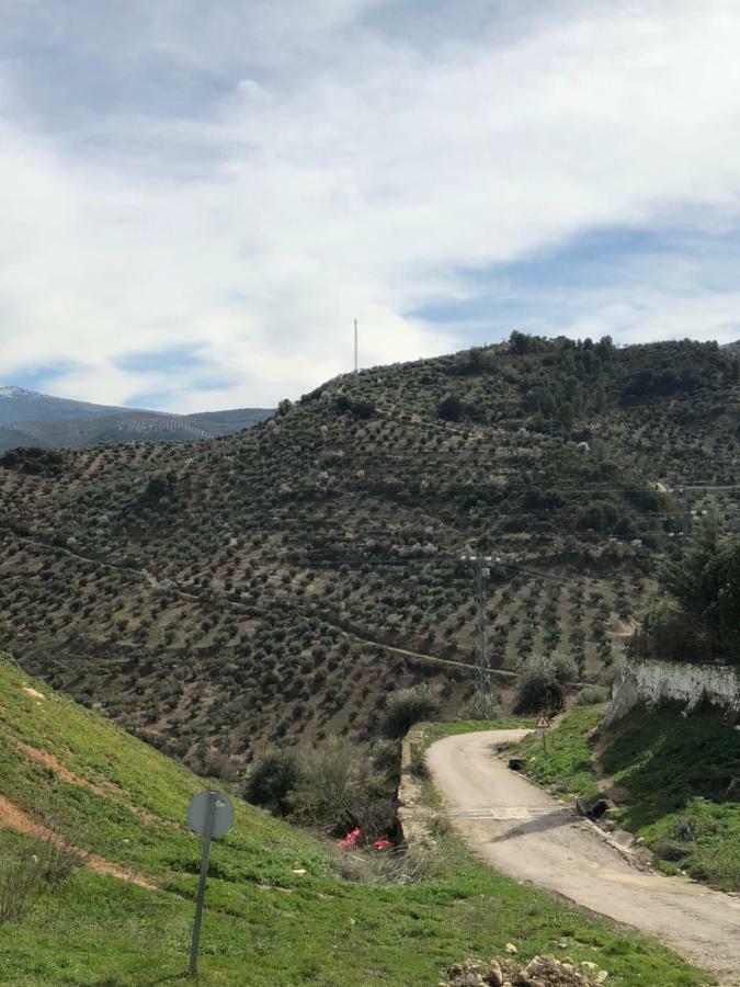 Carchelejo Casa De La Canada - Piso Completo מראה חיצוני תמונה