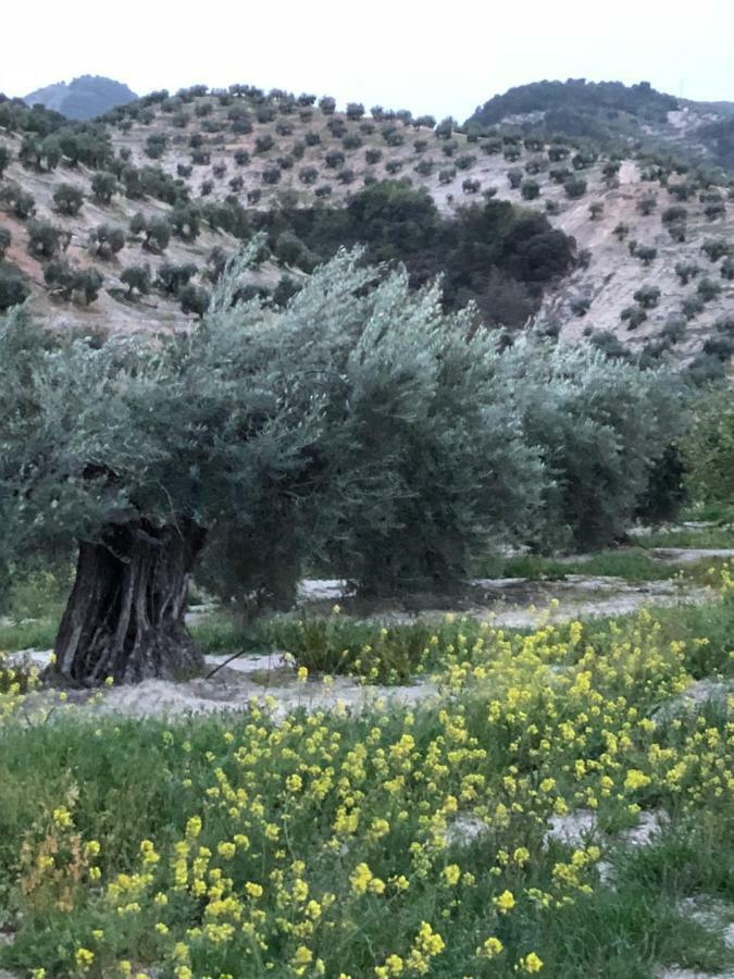 Carchelejo Casa De La Canada - Piso Completo מראה חיצוני תמונה